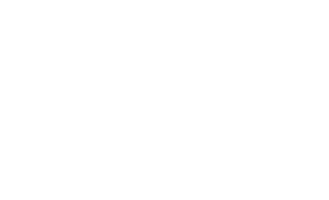 شعار كارفيزو